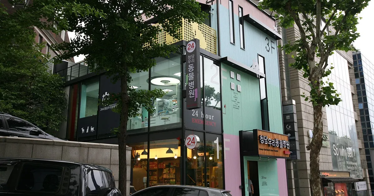 Cheongdam Uri Animal Hospital (청담우리동물병원)